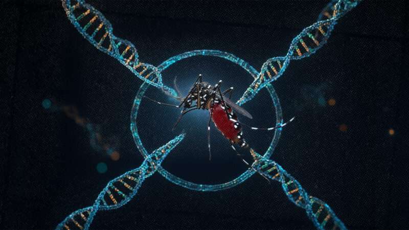 Mosquito DNA | Photo: Triwidana/Envato (AI-modified)