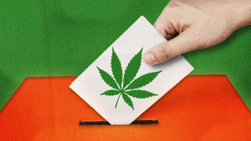 a hand drops a card bearing a cannabis leaf into a ballot box | Picsfive/M Akbar Arda/Dreamstime/Fatima Ruiz