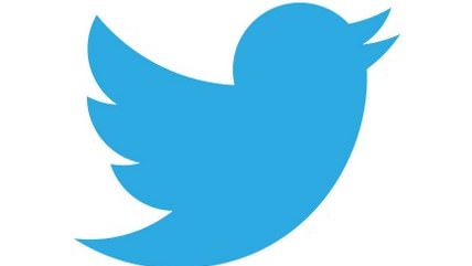 Large image on homepages | Twitter logo