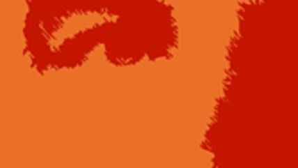 Large image on homepages