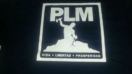 Large image on homepages | Mexican Libertarian Party/Facebook