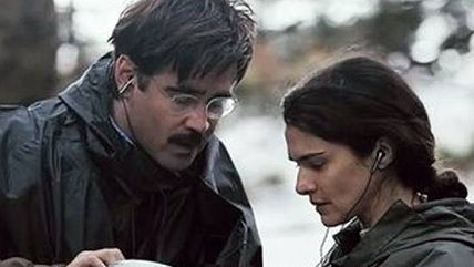 Movie Review The Lobster Reason Com