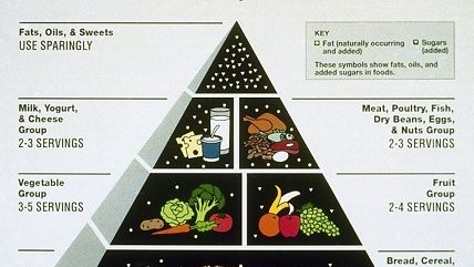 Large image on homepages | USDA