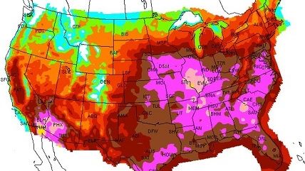 Large image on homepages | NOAA