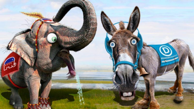 Large image on homepages | Donkey Hotey