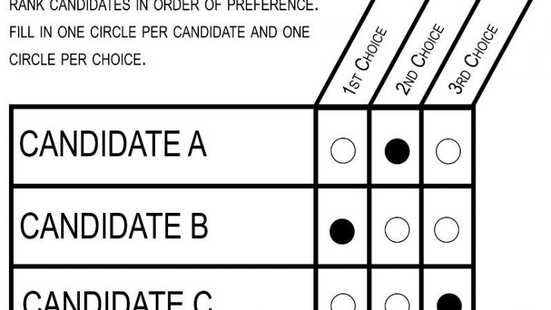 Large image on homepages | Committee for Ranked Choice Voting