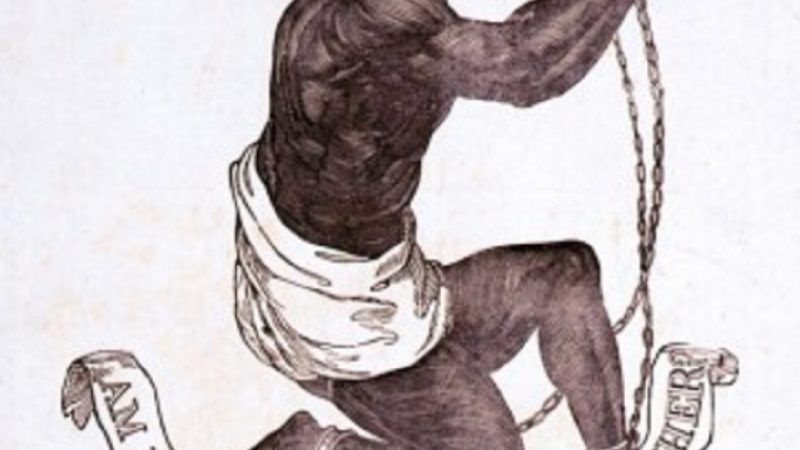 AmINotManandBrother | NA