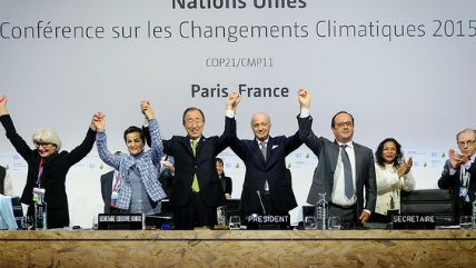Large image on homepages | COP PARIS / Flickr