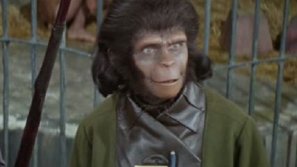 Large image on homepages | Planet of the Apes