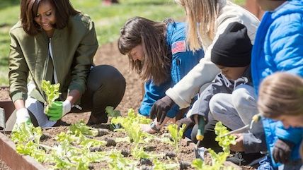 Local Officials Are Coming For Your Garden Reason Com