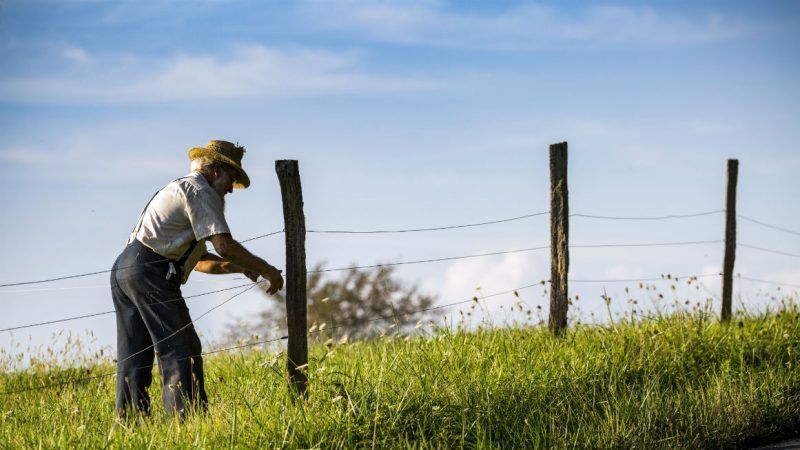 Amish | Photo 101244371 © Maxironwas/Dreamstime.com