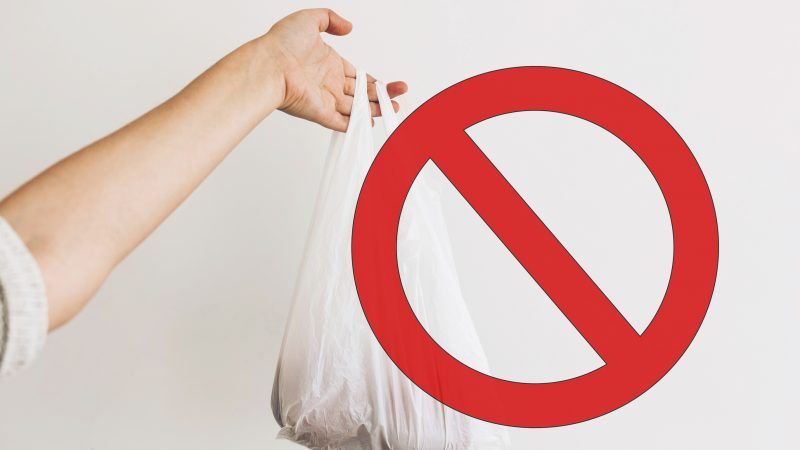 Paper or plastic? Councilman wants plastic leaf bag ban reversed