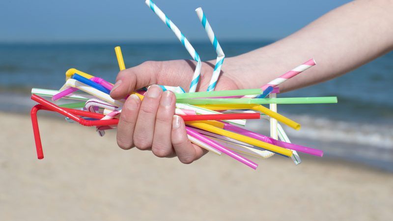 reason-straws |  Katie Nesling/Dreamstime.com