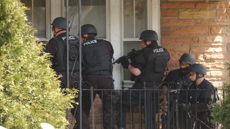 It Was A Routine Call Undercover Dea Swat Team Dog Three