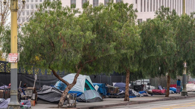 Reason-homelessla | Klodien/Dreamstime.com