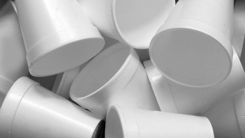 reason-styrofoam | Zkruger/Dreamstime.com