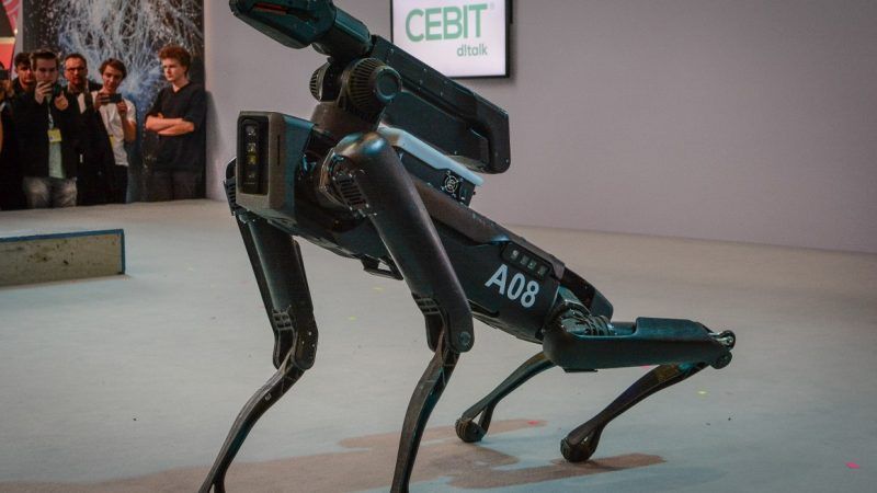 pictures of robot dogs