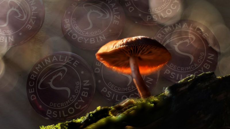 Mushrooms_ss
