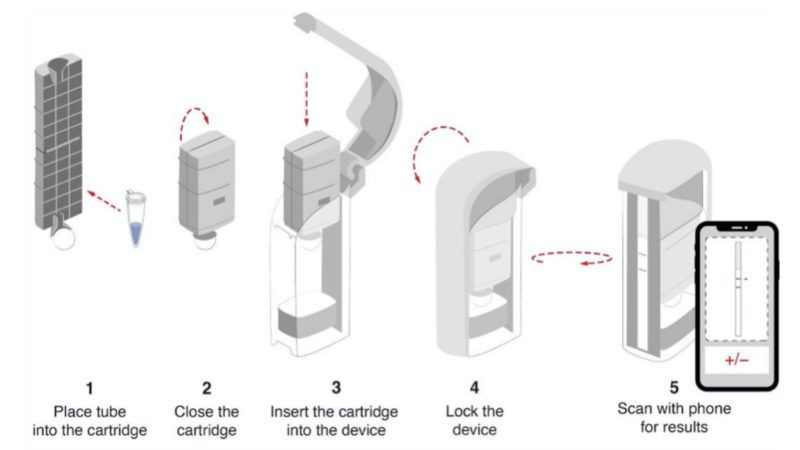 STOPCOVIDTEST | Zhang et al. 