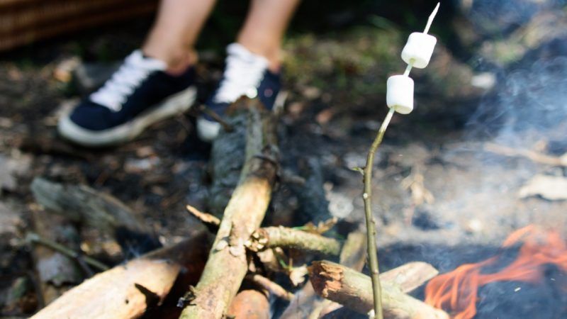 Camp fire | Photosvit/Dreamstime.com