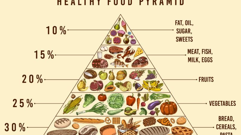 Centre for Health Protection - The Food Pyramid – A Guide to a Balanced Diet