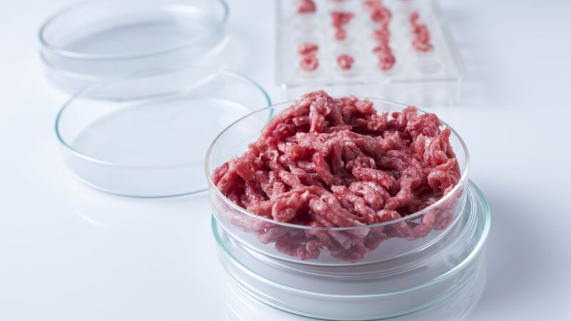 The Best Way To Grind Beef, According To Science