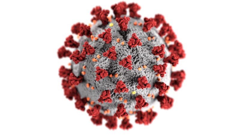 coronavirus-CDC | CDC