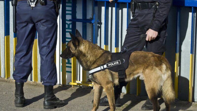 policedog_1161x653 | Surov Dmytro / Dreamstime.com