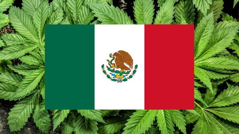 Mexican-flag-on-cannabis-leaves-2 | MIS Photography