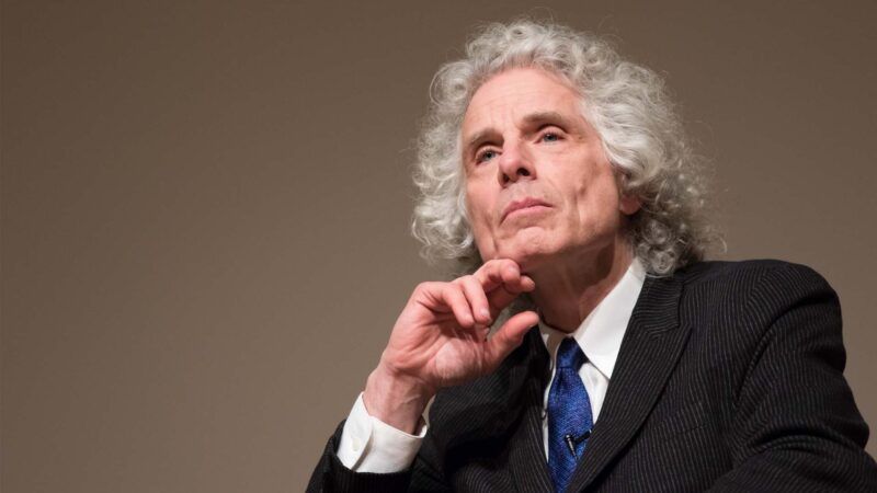 steven pinker rationality review