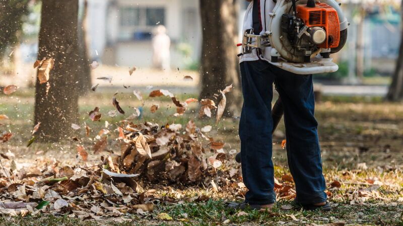 Gas 2024 leaf blower