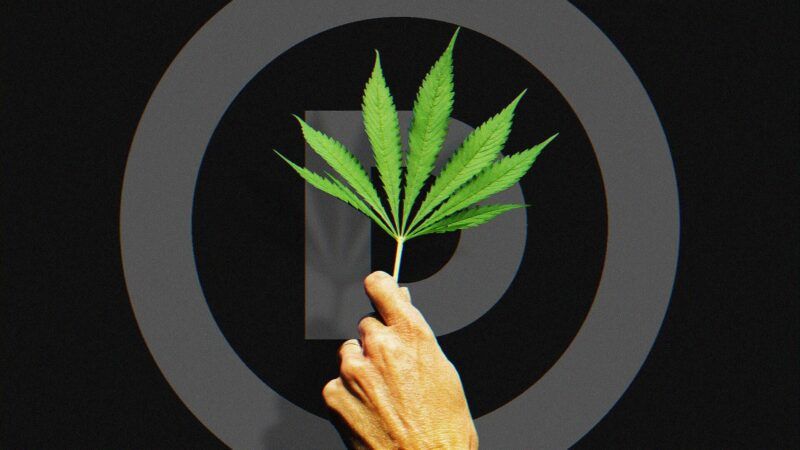 marijuana-Democrats-illustration