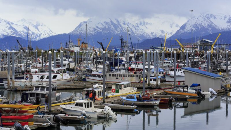Fishing boats docked at a marina in front of snow-covered misty mountains in Alaska