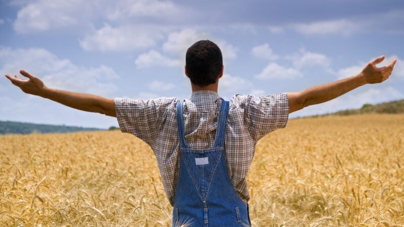 man stands in wheat field facing away from camera with outstretched arms