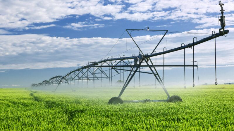 Crop irrigation system