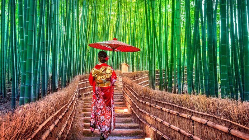 Woman in kimono | Tawatchai Prakobkit / Dreamstime.com