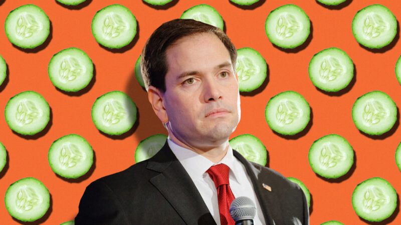 Marco Rubio cucumbers tariffs strawberries Florida Mexico agriculture subsidies U.S. Trade Representative Section 301 | Illustration: Lex Villena; Tamanna S | Dreamstime.com