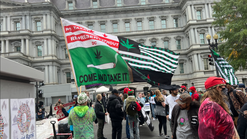 Pro-cannabis protestors