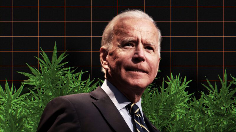 President Joe Biden is pictured against a background of marijuana plants | Illustration: Lex Villena; Gage Skidmore