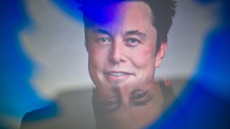 Twitter logo imposed over ELon Musk's face