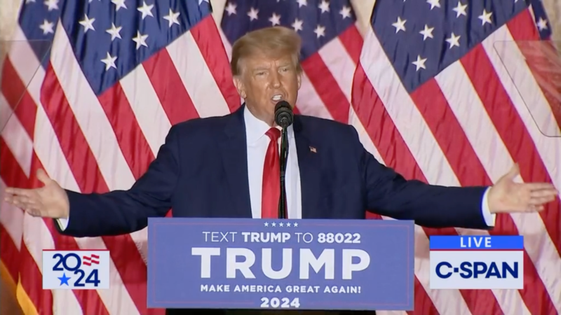 Former President Donald Trump gestures in front of a row of American flags. | Screenshot from C-SPAN