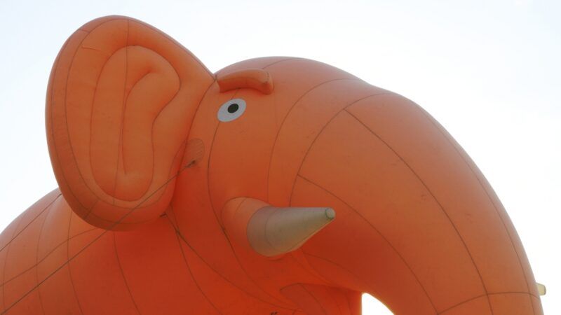 inflatable elephant