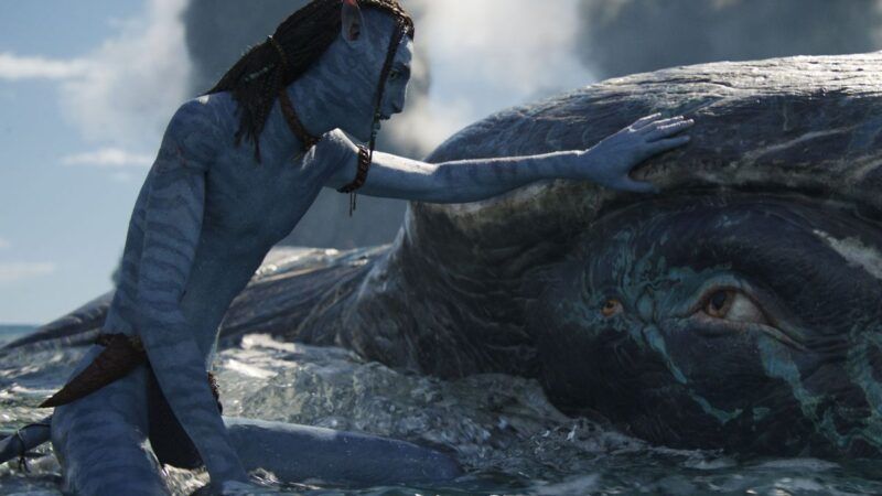 James Cameron's ‘Avatar: The Way of Water’ is a can-you-believe-it spectacle that looks to the future.