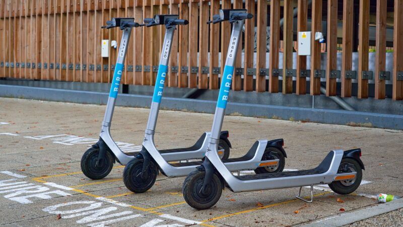 Bird scooters