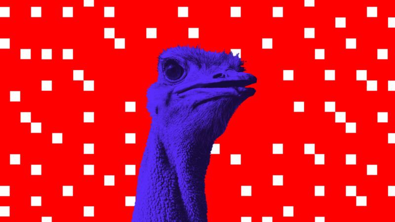 A purple ostrich head and neck on a red background with white shapes