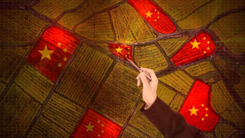 A top-down map depicting plots of farmland interspersed with images of the star from the Chinese flag. | Illustration: Lex Villena; Chuyu