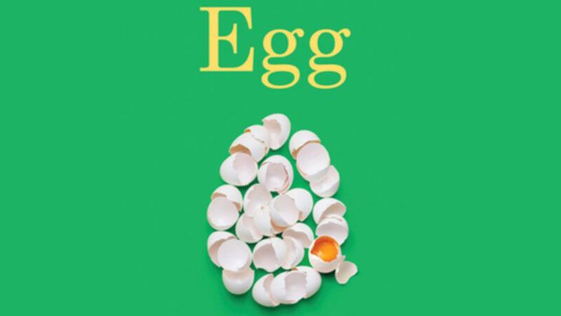 minisegg_W.-W.-Norton-_-Company | Photo: <em>Egg</em>/W.W. Norton& Company