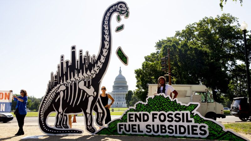 Protesters hold a large cutout of a dinosaur skeleton with dollar bills falling out of its mouth, next to a sign reading "END FOSSIL FUEL SUBSIDIES," on the National Mall with the U.S. Capitol in the background.