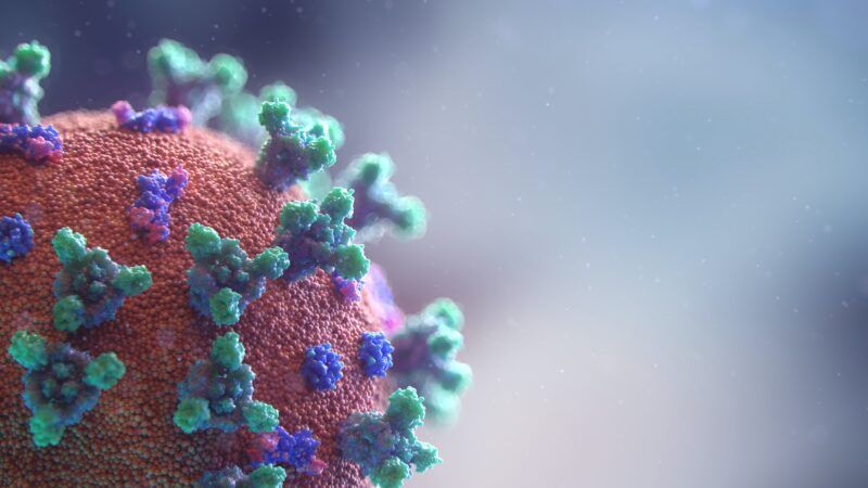 Coronavirus medical animation | Fusion Medical Animation