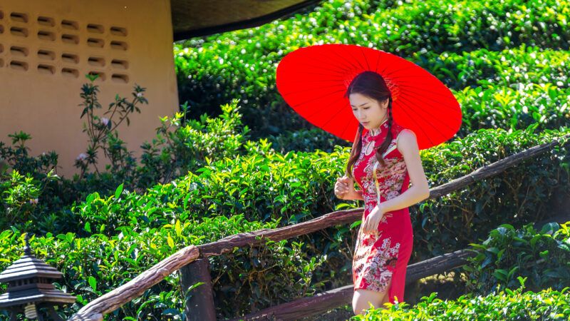 Asian women in a garden wearing traditional Chinese dress and holds a red umbrella. | Tawatchai Prakobkit | Dreamstime.com